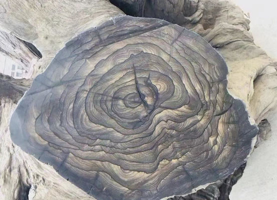 Buy OEM Ciricote／Ziricote Wood Veneer For Construction Carpentry online manufacture