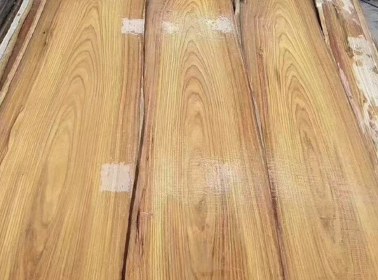 Kosso／ambila Natural Wood Veneer