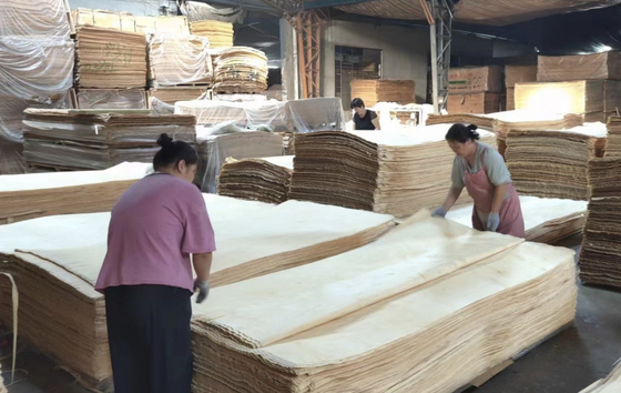 0.25-0.5mm Russian Birch Veneer Rotary Cut Wood Veneer 1270x2500mm